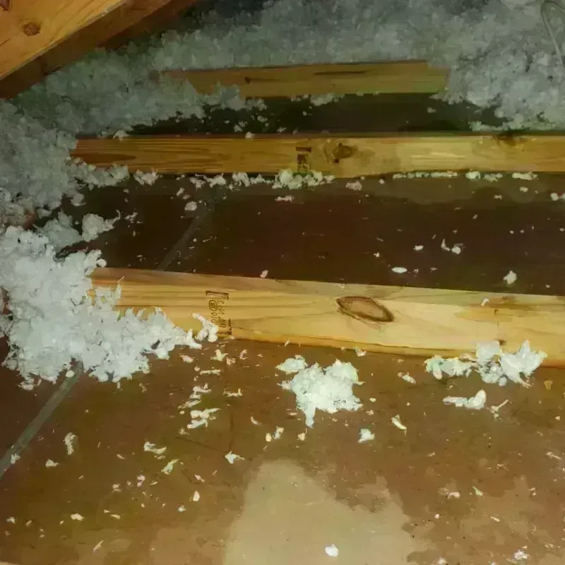 Attic Water Damage in Bridgeville, DE